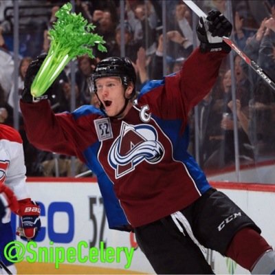 SnipeCelery Profile Picture