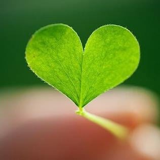★I love my world, I love my life now, and I really love my family ★ 
|130388|