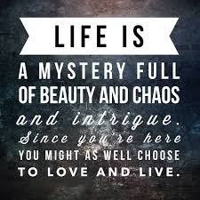 reasons_2live's profile picture. Simply out to brighten a day, a person, a life. Relatable. #reasonstolive #reasons2live