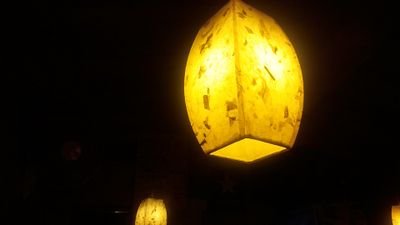 pantherg1's profile picture. 