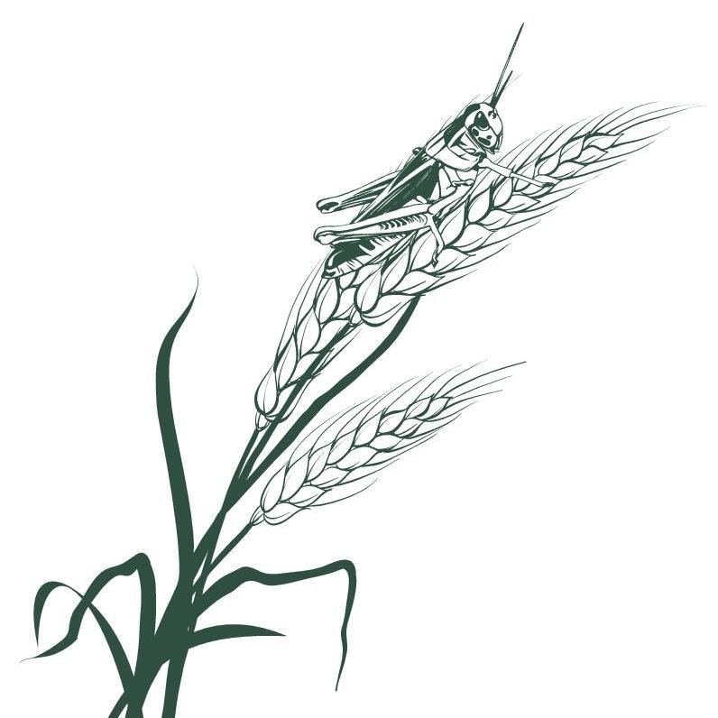 Locust_Ulti's profile picture. Locust Ultimate is a Women’s Ultimate Frisbee Club in Saskatoon, SK. We’re a high energy group of women training to represent the Prairies Region at CUC