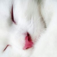 Zdebora 458 (@0525ee428f00425) 's Twitter Profile