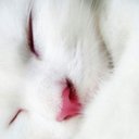 Zdebora 458 (@0525ee428f00425) Twitter