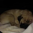 Justin Padgett - @JustinPadgett8 - Twitter