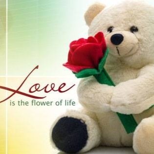 julio97892134's profile picture. 