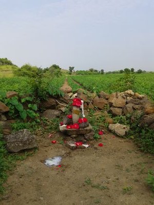 મોમાઈ પ્રાકૃતિક ફાર્મ