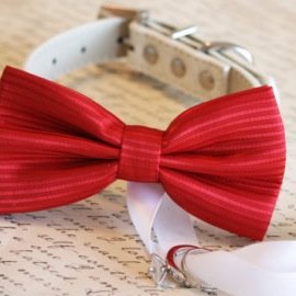 we answer your questions about your partner and your ex partner , and maybe even your crush , and guys!!! WE HELP YOU TO PICK THE PERFECT GIFT TO BUY!!!!!!