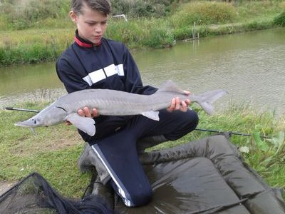 H3B-pax christi college-carp fishing-DIO 30 C3-houvaneten!!