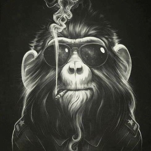 DrJauss's profile picture. 