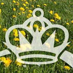 Wenatex is an international company committed to helping you and your family to enjoy healthy, rejuvenating sleep.