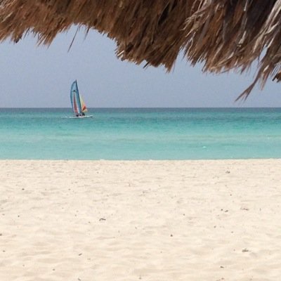 sculpher2's profile picture. 