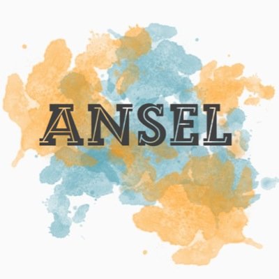 here to support @anselelgort and @ansolo_music !! Official Ansel Minnesota account :) ❄️☀️❄️☀️