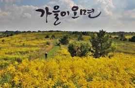 4cniv9n's profile picture. 가을이오면~~~