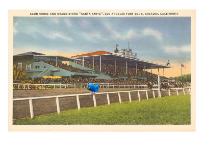 rail6ird's profile picture. 