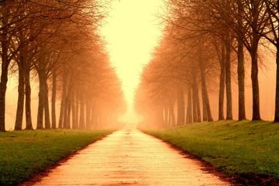 Akhtarkhan117's profile picture. 