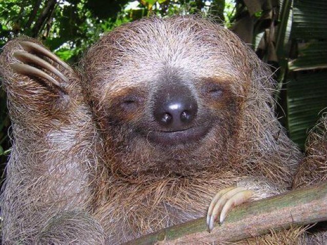 torako2572's profile picture. 週末は二人乗りのヨットにのっています。