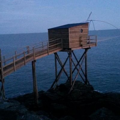 ezor53's profile picture. 