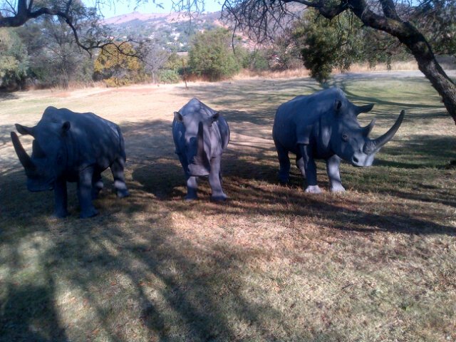 A South African voluntary non-profit organisation working on saving the Rhinos by lobbying for community participation and contribution. Every1 to play a part.