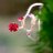 selection2012's profile image