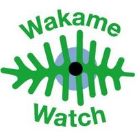 WakameWatch (@wakamewatch) 's Twitter Profile
