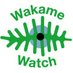 WakameWatch (@wakamewatch) Twitter profile photo