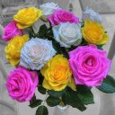 zahir khan (@00923467861199) Twitter
