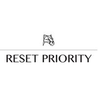 RESET PRIORITY(@resetpriority) 's Twitter Profile Photo