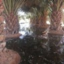 صمت الجرووح (@0581619888) Twitter