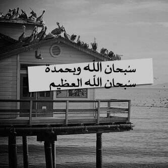 ‏ﺇﻥ ﺳﺄﻟﻮﻙ ﻋﻦ ﻏﺰﺓ ، ﻗﻞ ﻟﻬﻢ
ﺑﻬﺎ ﺷﻬﻴﺪ ، ﻳُﺴﻌﻔﻪ ﺷﻬﻴﺪ ، ﻭﻳُﺼﻮّﺭﻩ ﺷﻬﻴﺪ
ﻭﻳُﻮﺩّﻋﻪ ﺷﻬﻴﺪ ، ﻭﻳُﺼﻠّﻲ ﻋﻠﻴﻪ ﺷﻬﻴﺪ
يارب ترحمهم برحمتك