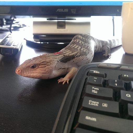 xendata's profile picture. 