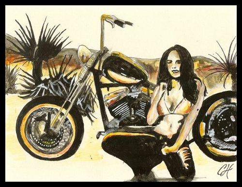 bikergrrrl's profile picture. bikes baby!