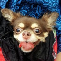 hirokey812 (@hirokey812) 's Twitter Profile