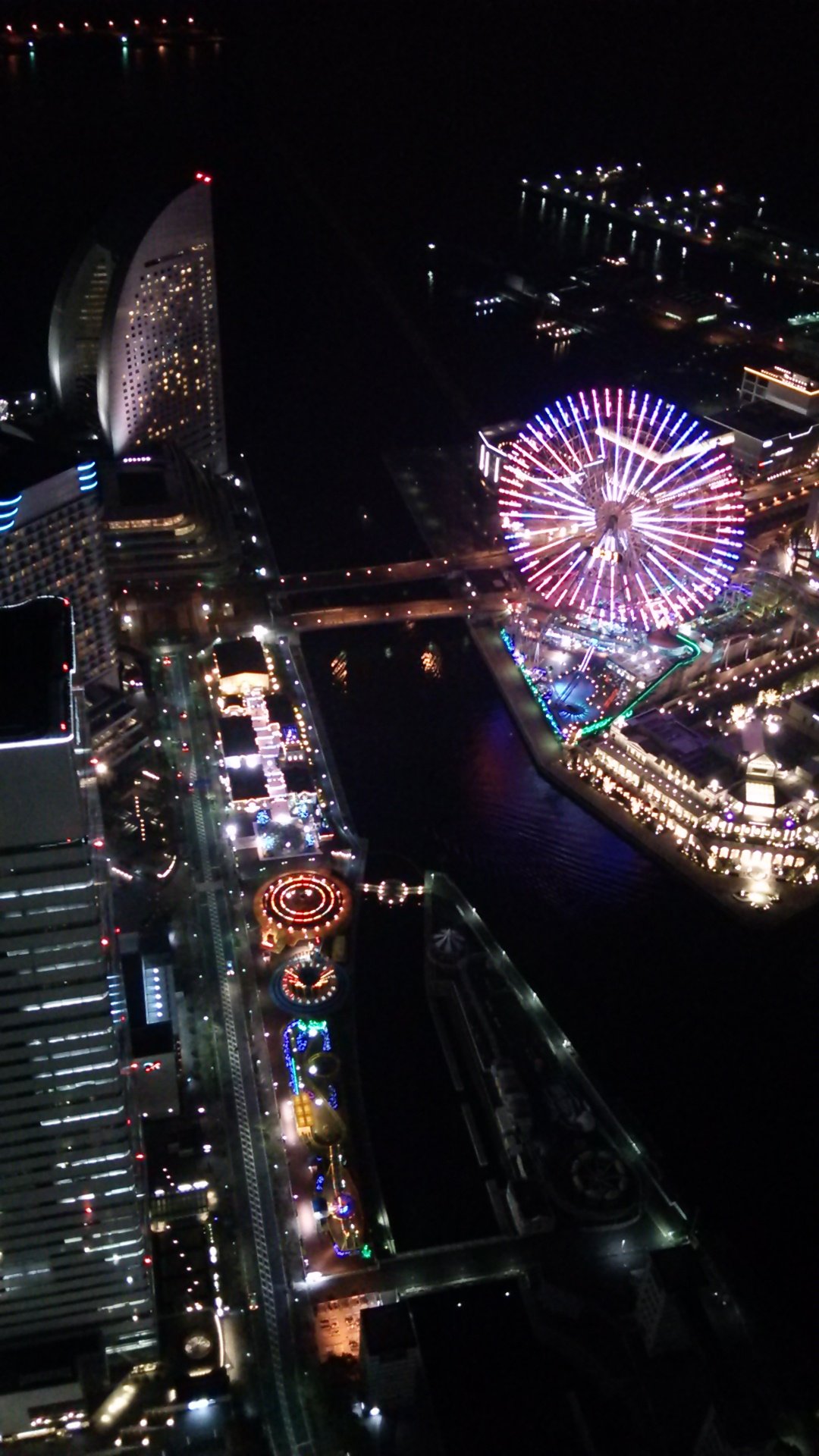 chatoburifuku's profile picture. 