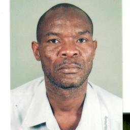 Freelance Journalist