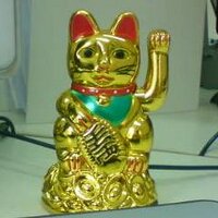 Helen Holtom (@jimsluckycat) 's Twitter Profile
