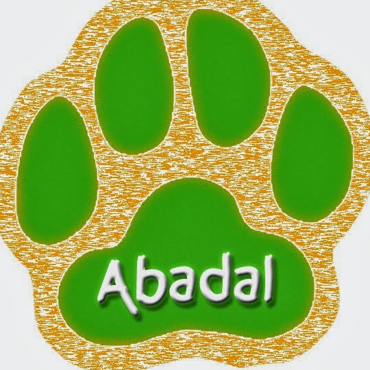 ~Asociación para el Bienestar de los Animales de Almoradí~ 
Contacto: eva.abadal@gmail.com
Facebook: Protectora Abadal de Almoradí