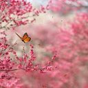 Nadia Aleem - @fb23f43908854e1 - Twitter