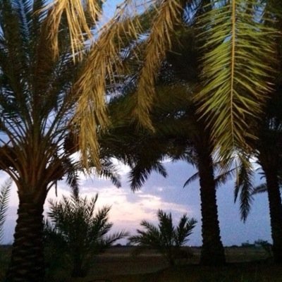 ثواب هذا الحساب صدقة جارية لعمر اخي رحمه الله ووالدي ووالدتي واخوتي .. تابع وأنشر لتكسب الاجر .. سبحان الله وبحمده