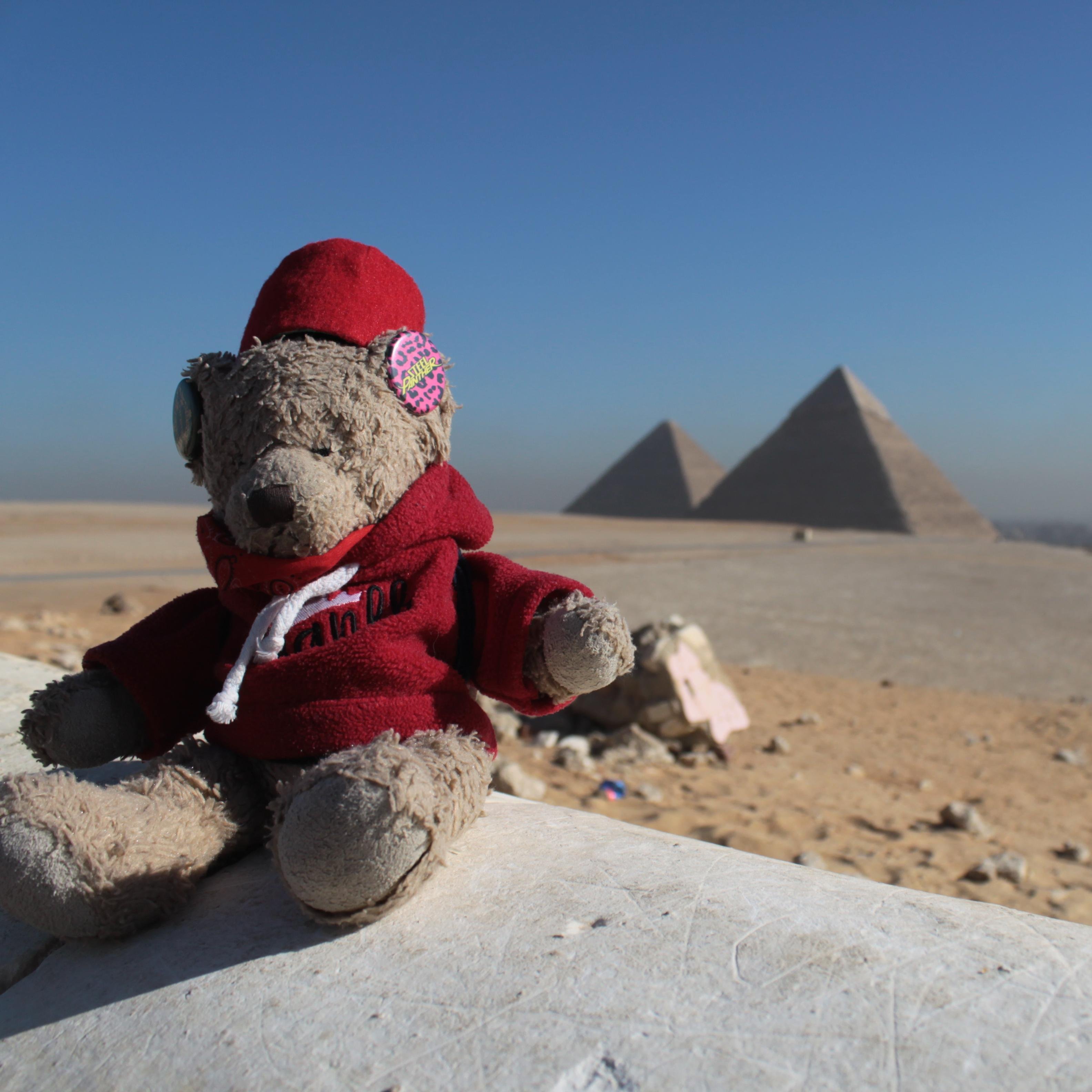 Little bear, big adventures.