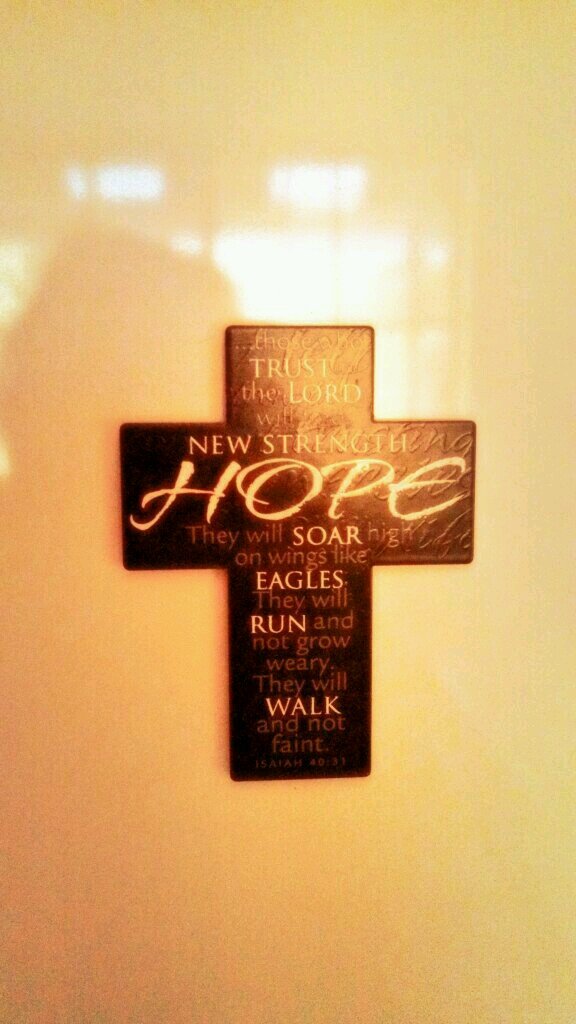 i love Jesus he is my king of kings and Lord of lords I love to share the word of God with all my brothers and sisters out there The sharing of gods love ❤️