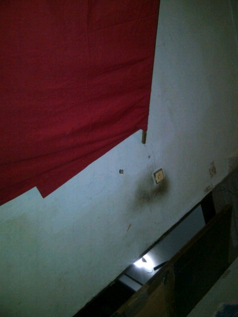 207919902003 hari sss anggota