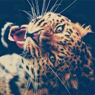 CushiticQueen's profile picture. http://t.co/H9yGA6P9T4