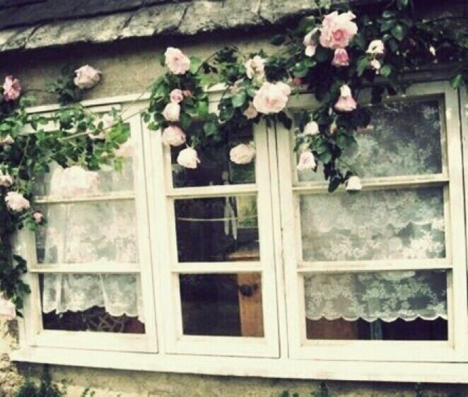 فتاه في زمن لم يسمى بعد ،lnstagram:hiamshok