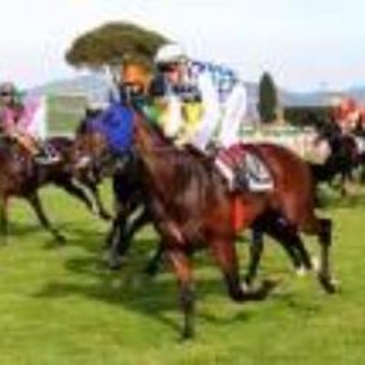 競馬が好きになる名言集 Traditivcvuravt Twitter