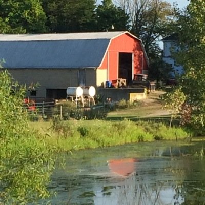 Agricultural writer, indiscriminate reader and opinionated farmer