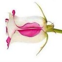 Bárbara Castillo ∞ - @barbcastillo - Twitter