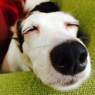 絵と短編小説を生産するのが大好き 文学賞に自作小説を投稿してたりしてます この度140文字SSアカわけました そちらは文学賞の結果なども呟いてるので是非