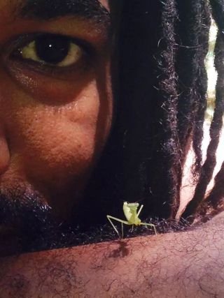 indigenekreolma's profile picture. Meta Cosmic Being, Reiki Initiate, Story Teller, Youth Enhancement Invocator, Healing Wounded Healer, Creativity & Theatre Maker, Instrumentalist, Writer = Arti