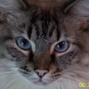 Bill BROWNELL - @BillWfb0523 - Twitter