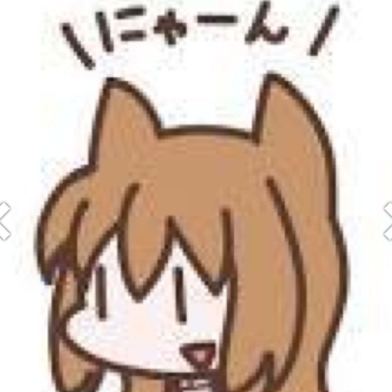よろしこ(⌒▽⌒)！